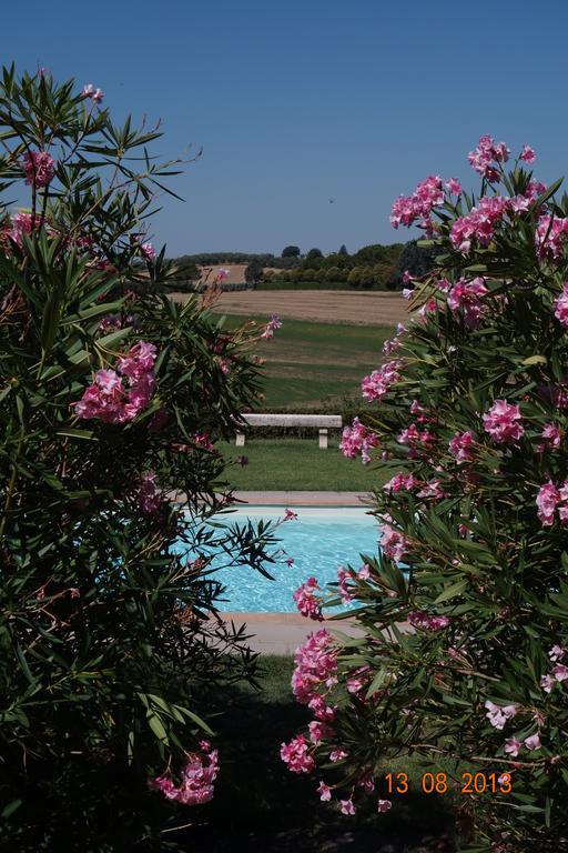 Villa La Lodola Foiano Della Chiana Exterior photo