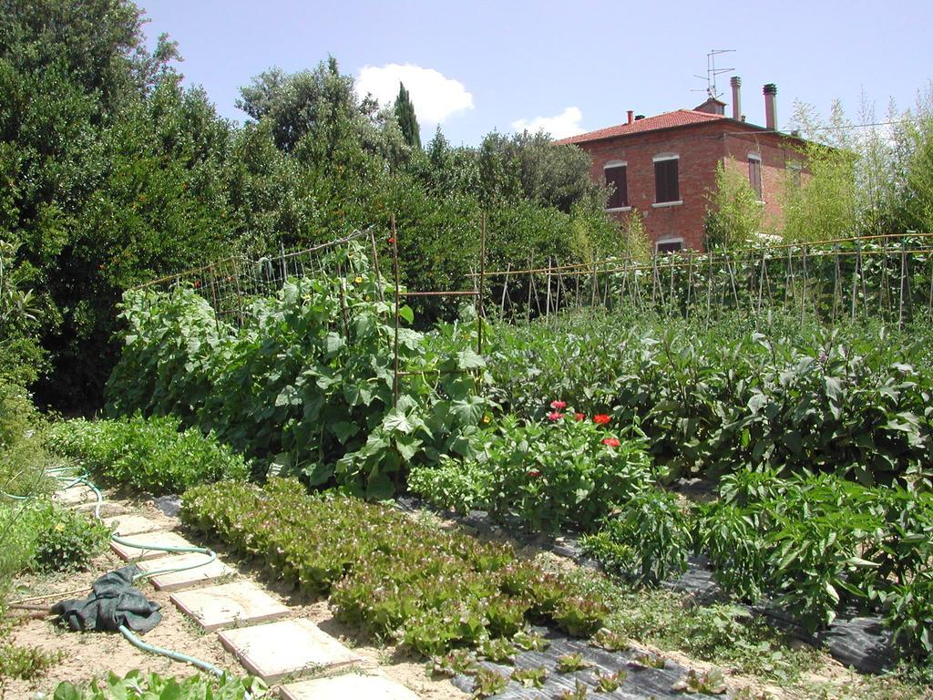 Villa La Lodola Foiano Della Chiana Exterior photo